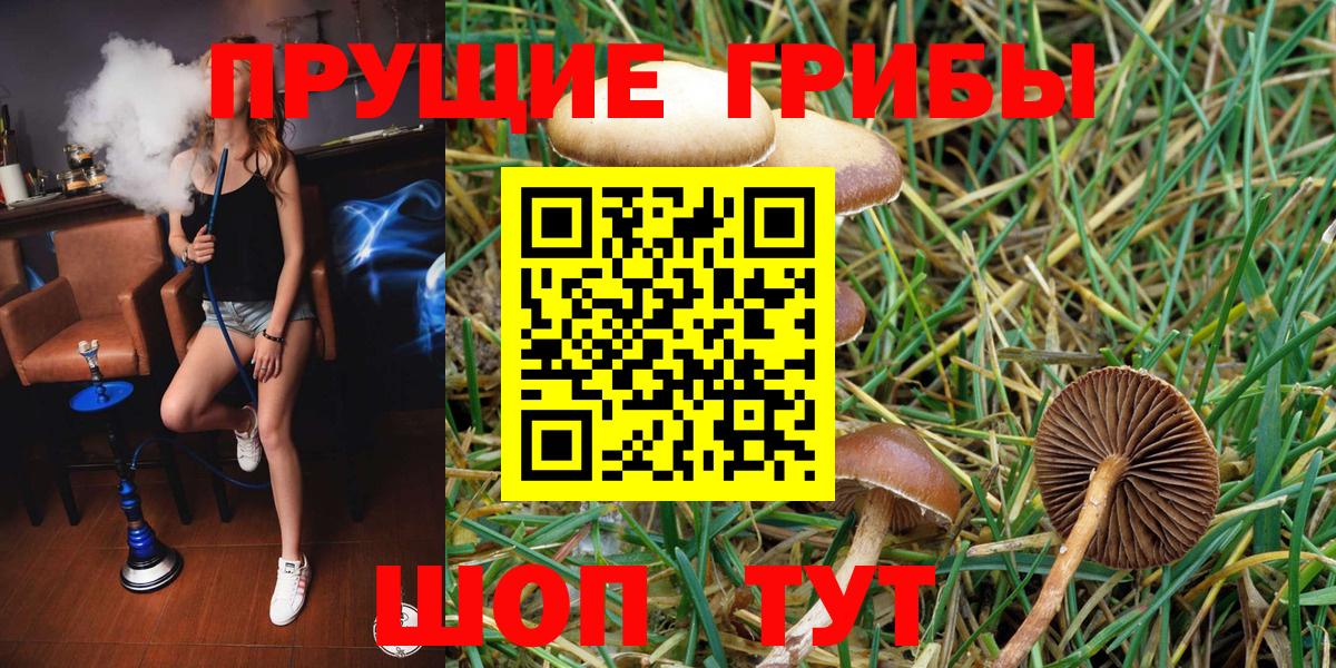 Тольятти  Псилоцибиновые грибы Magic Shrooms  Галлюциногенные грибы MAGIC MUSHROOMS  Вход с VPN 